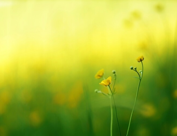 Органы пищеварения - Санаторий «Бештау» Железноводск