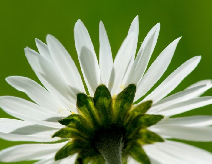 Многопрофильная программа - Санаторий «Бештау» Железноводск